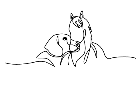 Tierphysiotherapie Altdorf Klara John